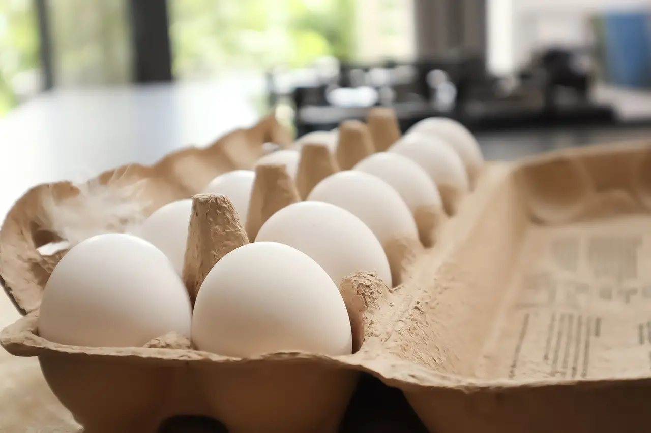 Pantry Moth Eggs Control